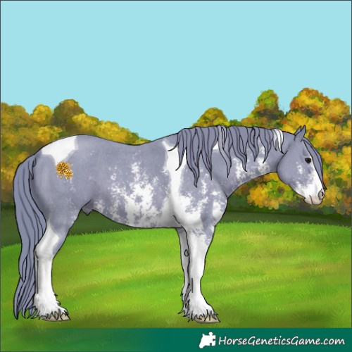 Horse Color:Watercolor Black Sabino Tobiano 