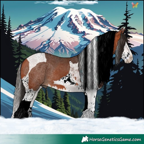 Horse Color:Bay Splash Tobiano 