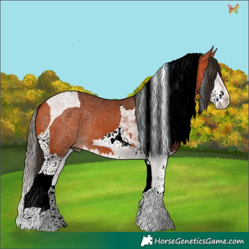 Horse Color:Bay Splash Tobiano 