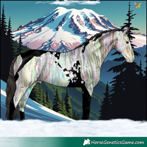 Horse Color:Bay Ice Tobiano 