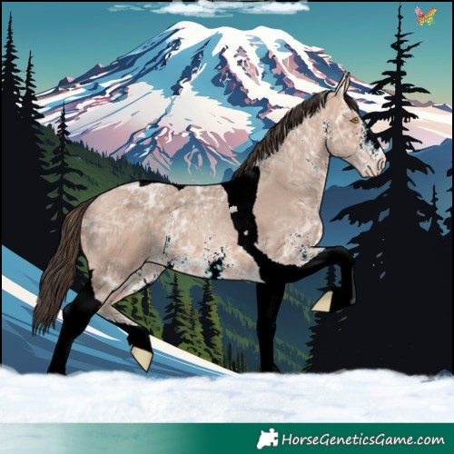 Horse Color:Sable Champagne Ice Sabino Tobiano 