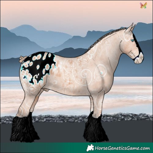 Horse Color:Gold Champagne Ice Splash Blanket 