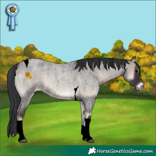 Horse Color:Blue Onyx Roan Tobiano 