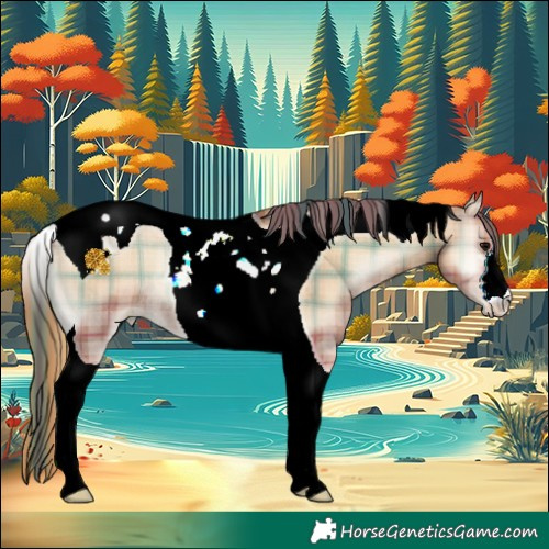 Horse Color:Plaid  Blue Onyx Pearl Tobiano Rabicano 