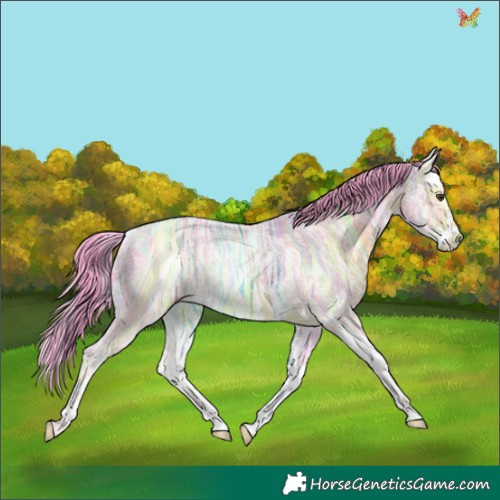 Horse Color:Watercolor Liver Chestnut Ice Splash Rabicano 