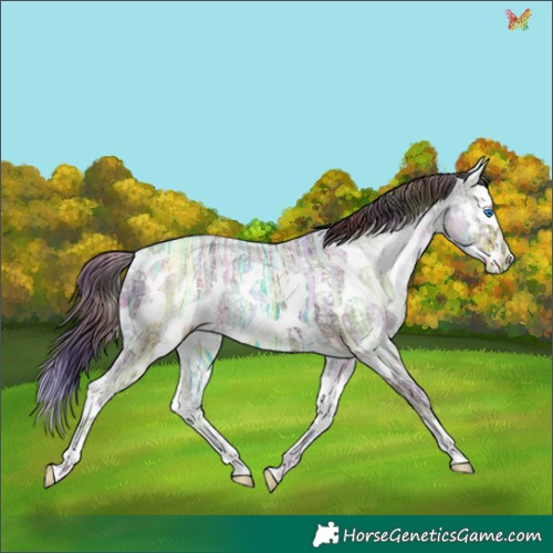 Horse Color:Nacre Liver Chestnut Ice Splash Rabicano