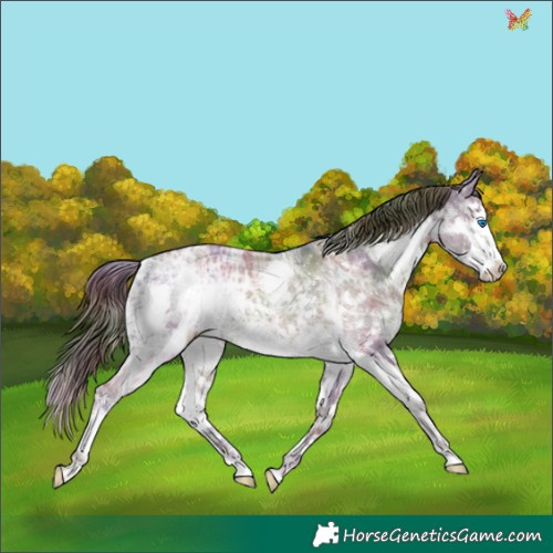 Horse Color:Nacre Liver Chestnut Ice Splash Rabicano