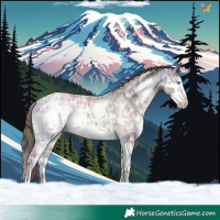 Horse Color:Nacre Liver Chestnut Ice Splash Rabicano 
