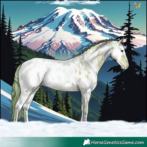 Horse Color:Watercolor Liver Chestnut Ice Splash Blanket Rabicano