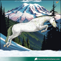 Horse Color:Watercolor Liver Chestnut Ice Splash Appaloosa Rabicano
