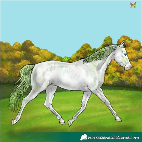 Horse Color:Watercolor Liver Chestnut Ice Splash Tobiano Rabicano