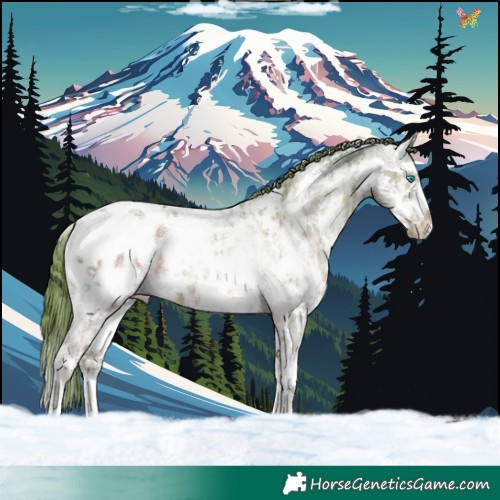 Horse Color:Watercolor Liver Chestnut Ice Splash Tobiano Blanket Rabicano 