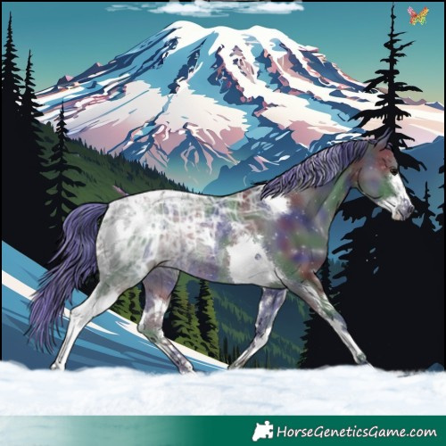 Horse Color:Painted Nacre Black Ice Splash Tobiano Rabicano 