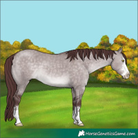Horse Color:Platinum Chocolate Brown Dun