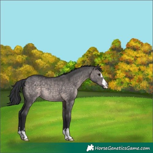 Horse Color:Platinum Brown Dun 