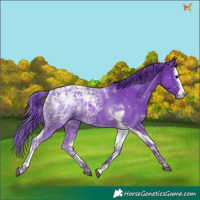 Horse Color:Painted Watercolor Black Ice Splash Tobiano Rabicano 