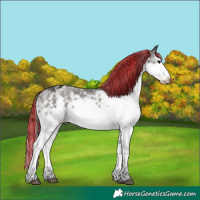 Horse Color:Painted White Spotted Blue Onyx Ice Splash Appaloosa 