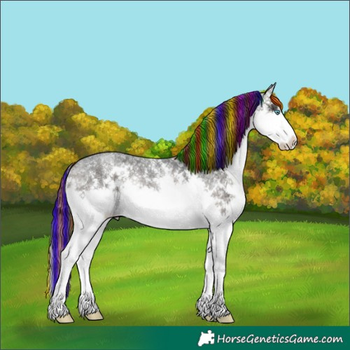 Horse Color:Painted Blue Onyx Ice Roan Sabino Splash Rabicano 