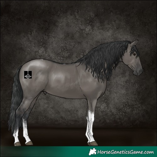 Horse Color:Grullo Sabino Tobiano Rabicano 