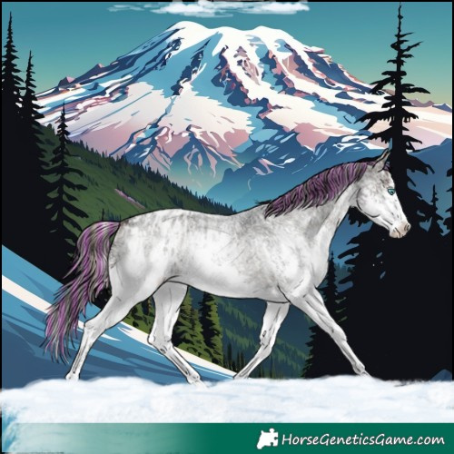 Horse Color:Painted Blue Onyx Ice Roan Splash Varnish Rabicano  and Painted Blue Onyx Ice Roan Sabino Splash Blanket 