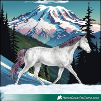 Horse Color:Painted Blue Onyx Ice Roan Splash Varnish Rabicano  and Painted Blue Onyx Ice Roan Sabino Splash Blanket 