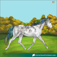 Horse Color:Painted White Spotted Blue Onyx Ice Splash Appaloosa 