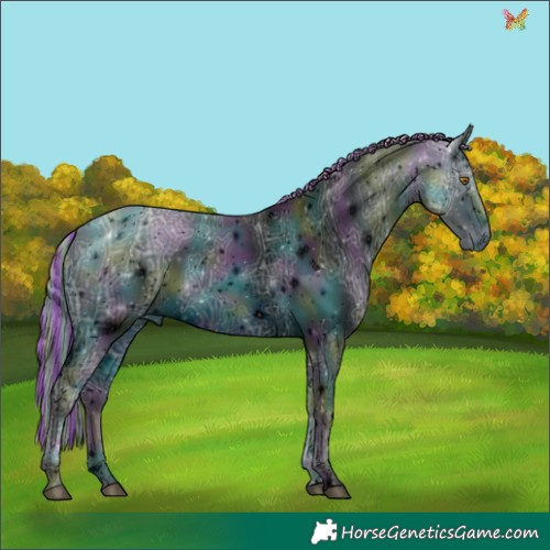 Horse Color:ERROR: UNKNOWN ANOMALY