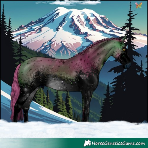 Horse Color:ERROR: UNKNOWN ANOMALY
