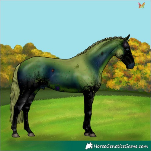 Horse Color:ERROR: UNKNOWN ANOMALY