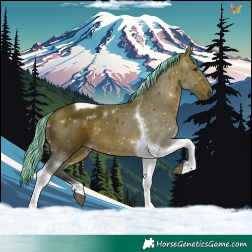 Horse Color:Painted Silver Brown Tobiano 