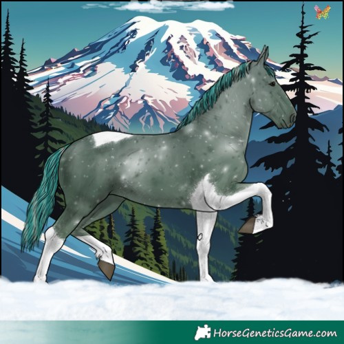Horse Color:Painted Silver Black Tobiano 
