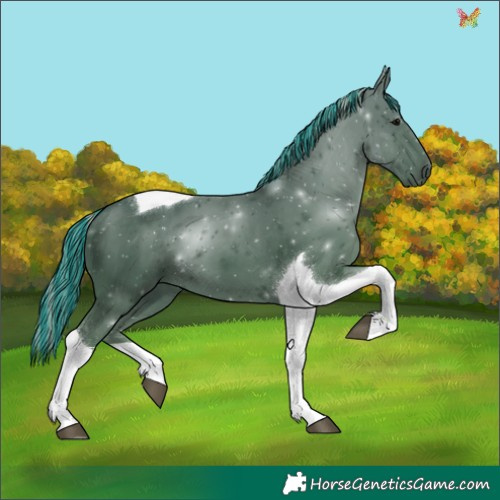 Horse Color:Painted Silver Black Tobiano