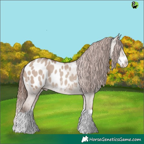 Horse Color:Classic Champagne Dun Splash Appaloosa 