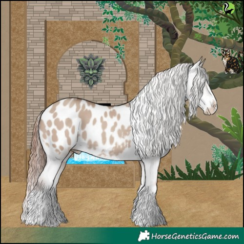Horse Color:Classic Champagne Dun Splash Appaloosa 