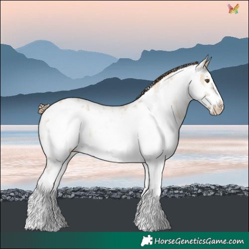Horse Color:Classic Cream Champagne Dun Sabino Frame Blanket 