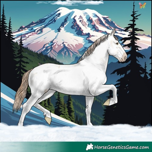 Horse Color:Classic Cream Champagne Dun Sabino Frame Appaloosa 