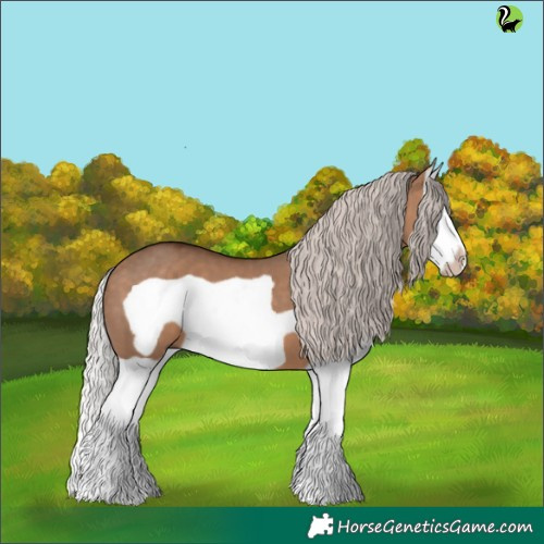 Horse Color:Silver Brown Dun Splash Frame 