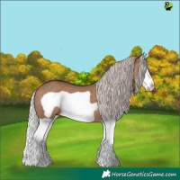 Horse Color:Silver Brown Dun Splash Frame 