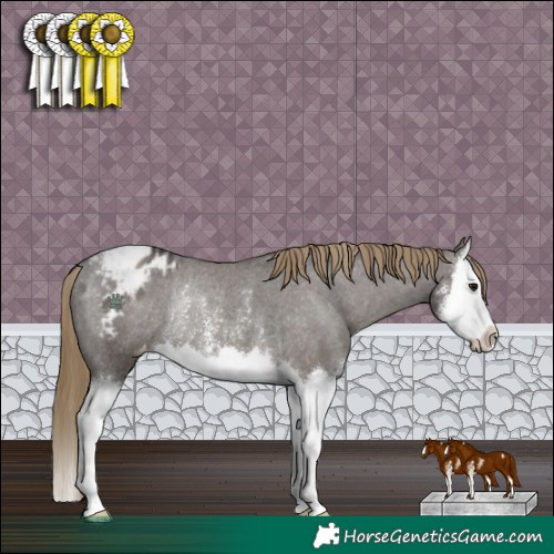 Horse Color:Smoky Grullo Sabino Splash Appaloosa Rabicano 