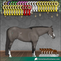 Horse Color:Smoky Grullo Sabino