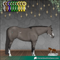 Horse Color:Smoky Grullo Sabino 