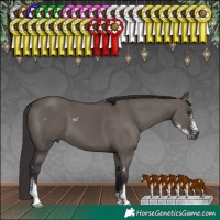 Horse Color:Smoky Grullo Sabino 