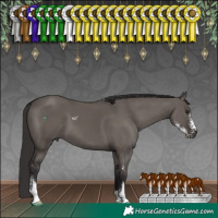 Horse Color:Smoky Grullo Sabino 