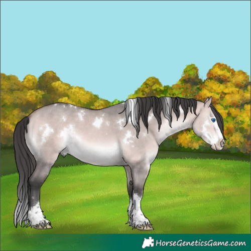 Horse Color:Platinum White Spotted Bay Dun Splash 