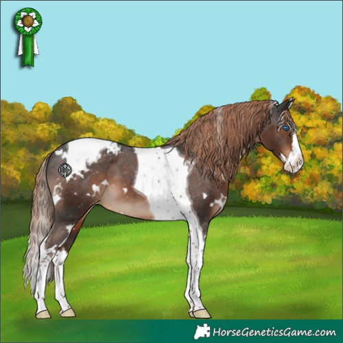 Horse Color:White Spotted Liver Chestnut Splash Tobiano Varnish 