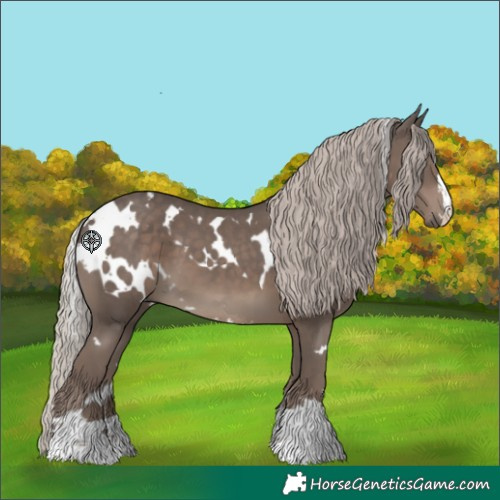 Horse Color:White Spotted Silver Black 