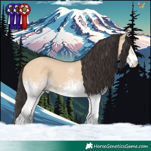 Horse Color:White Spotted Bay Dun 