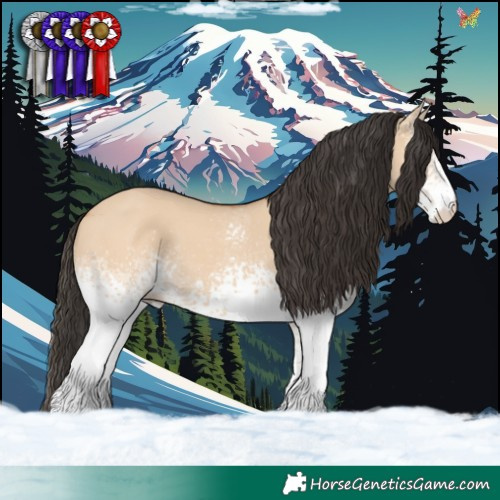 Horse Color:White Spotted Bay Dun 