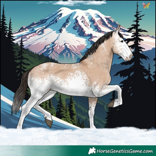 Horse Color:White Spotted Bay Ice Dun 