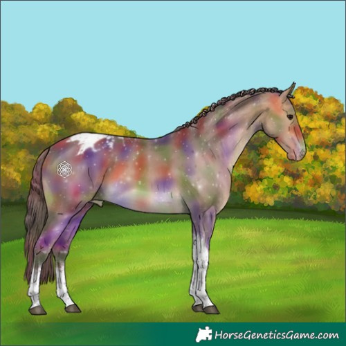 Horse Color:Nacre White Spotted Chocolate Buckskin Tobiano Blanket 